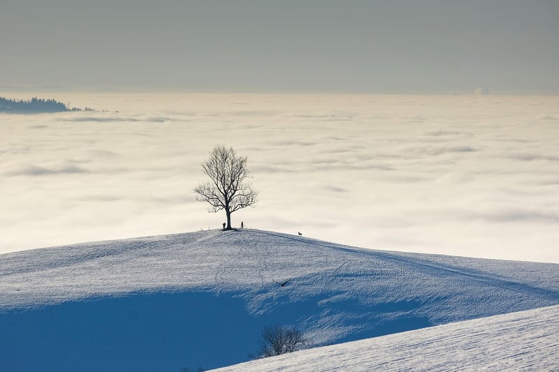 Travel Destination